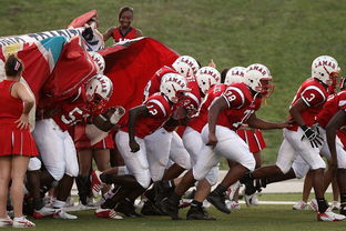 九游娱乐官方-全国城际定向越野赛青少年组吸引众多参赛者，全国定向越野锦标赛