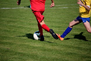 九游官网入口活动-国际足球俱乐部青训论坛在广州召开，国际足联青训补偿标准